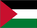 Palestine flag