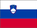 Slovenia flag